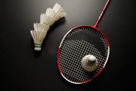 但她的大赛 但她的大赛