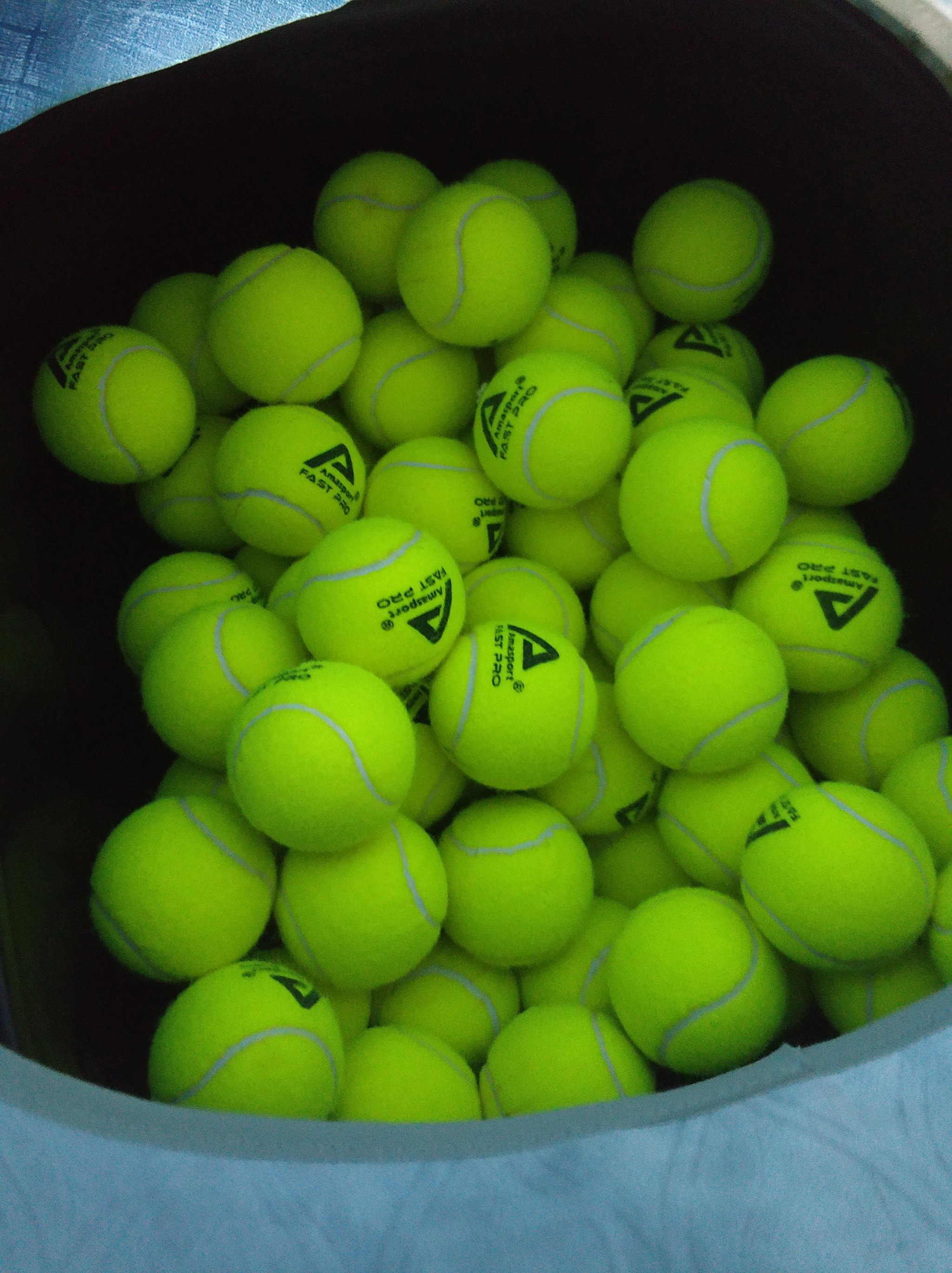 将武藤大和 将武藤大和