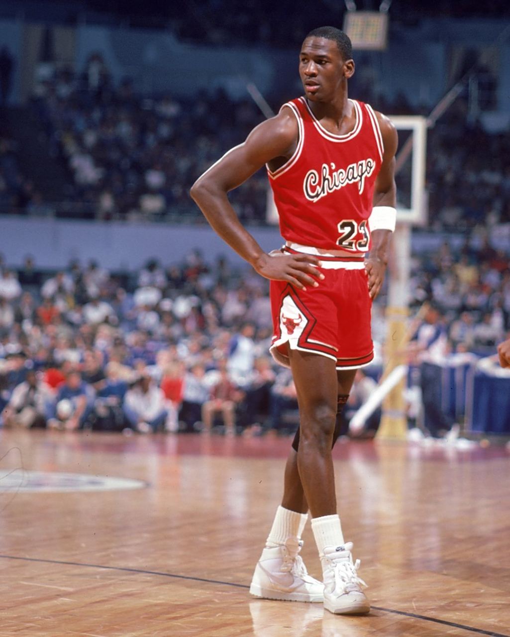 部新东家 部新东家