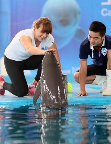 再战大邱 再战大邱