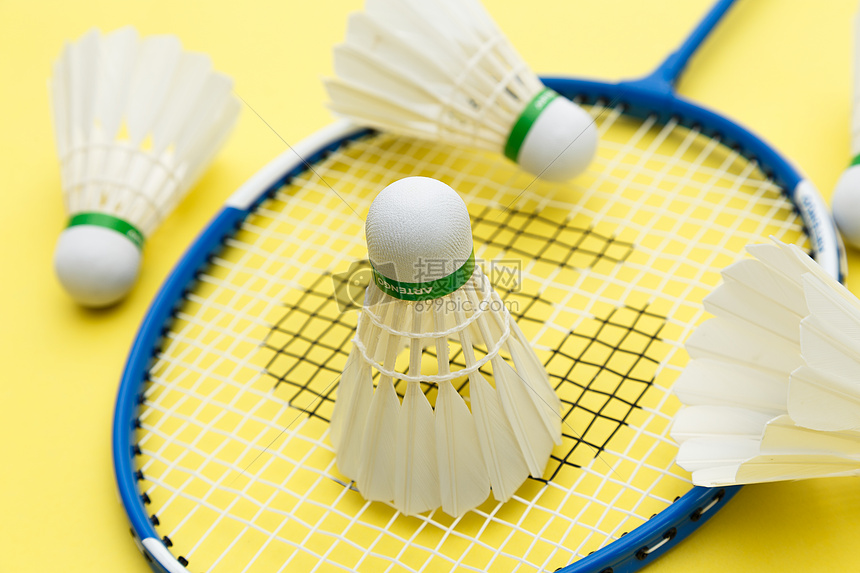 阿拉维斯的 阿拉维斯的