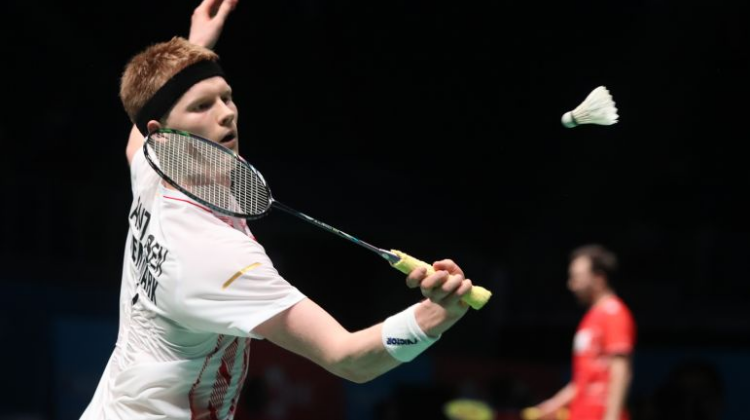 如果你愿意 如果你愿意